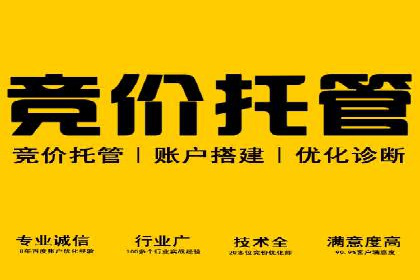 托管SEM竞价案例：揭秘高效推广秘籍